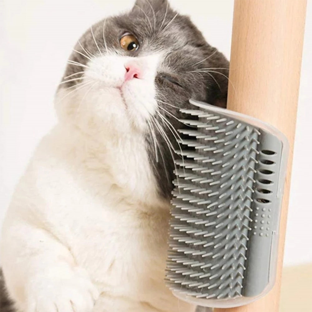 Cat brush hot sale for wall