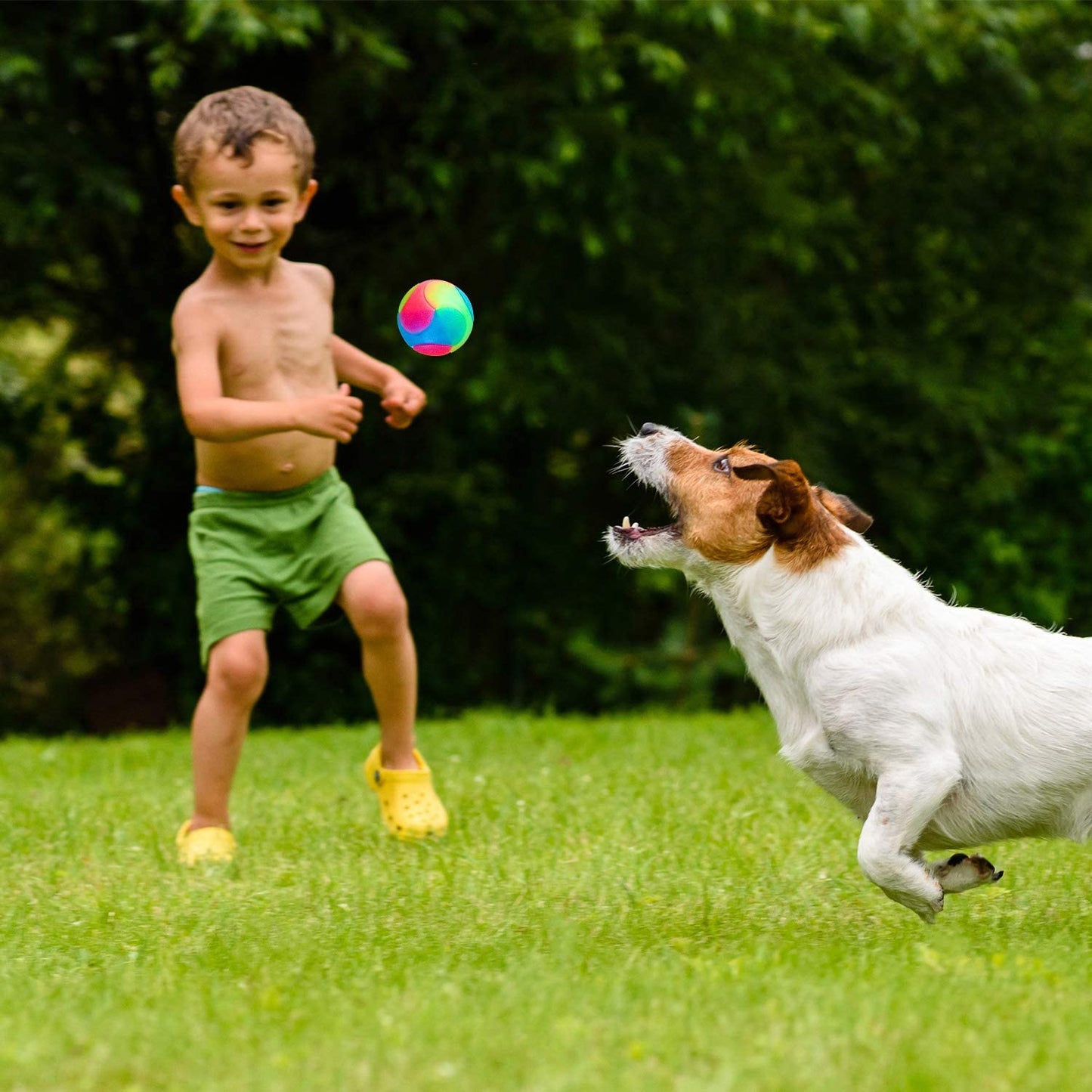 MPG Glowing Ball Dog Toy