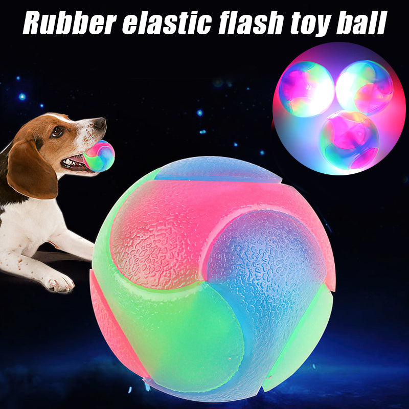 MPG Glowing Ball Dog Toy